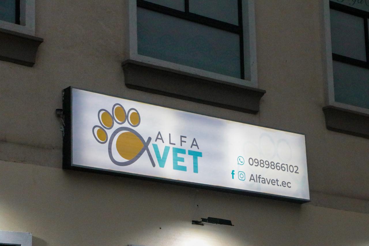 AlfaVet — foto 10