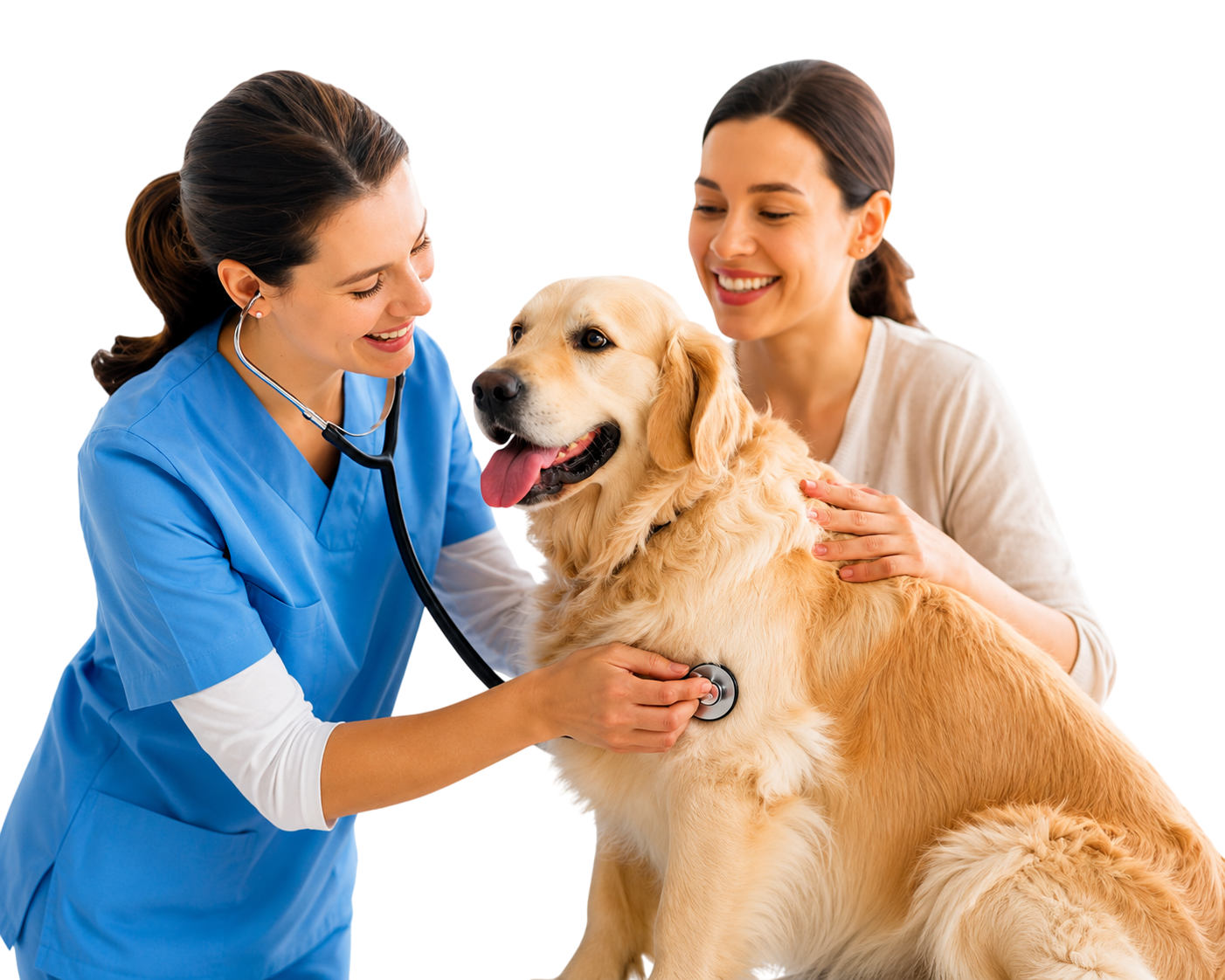 Veterinaria auscultando a un golden retriever junto a su dueña